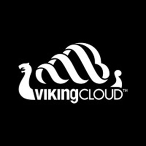 VikingCloud, Cybercrime, Fraud, Digital Attacks, Web Risk Monitoring, PAYSTRAX, Business Risk Assessment, Compliance, RiskTech, Lithuania, Europe